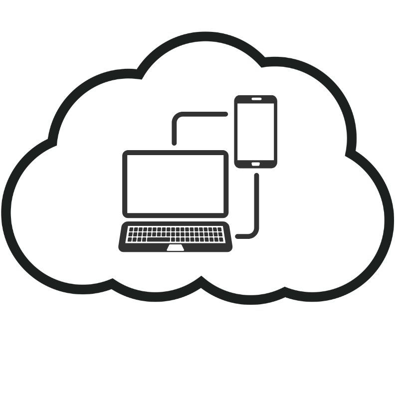 Dragon Professional Anywhere Cloud Access